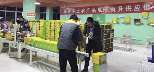 借力農(nóng)村電商&ldquo;東風(fēng)&rdquo;助推金堂柑橘銷往全國