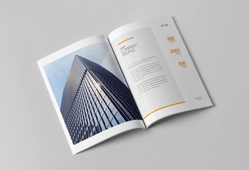 簡約大氣，專業信賴 商務咨詢與投資企業公司畫冊